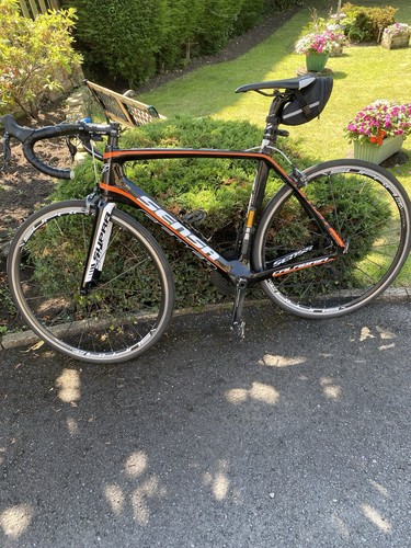 Sensa calibria custom road - calibria,