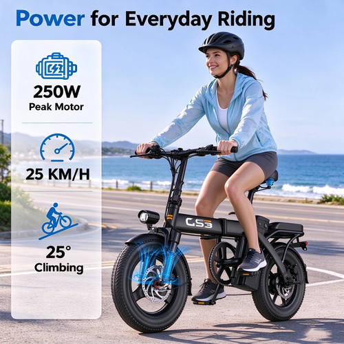 250w 25km adult gs3 - 250w, 25km/h