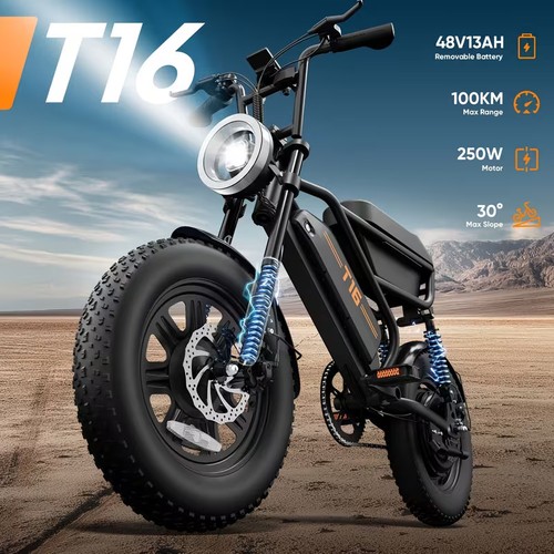 0 fat tire electric - fat,